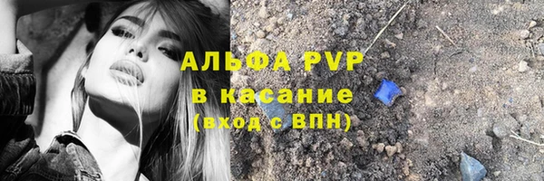 прущий лед Алзамай