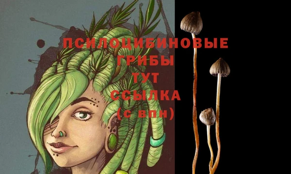 ешки Алексеевка
